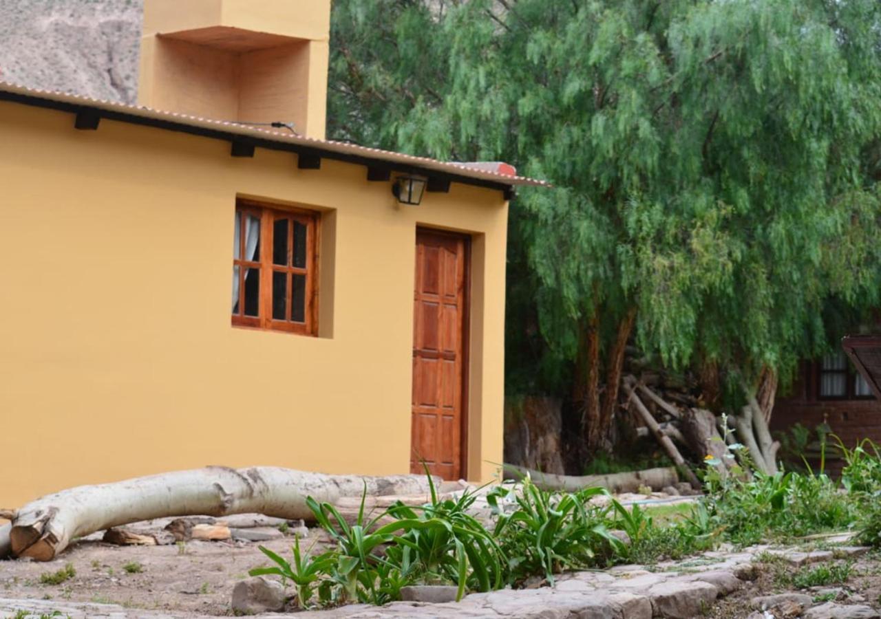 Hostal La Albahaca تيلكارا المظهر الخارجي الصورة