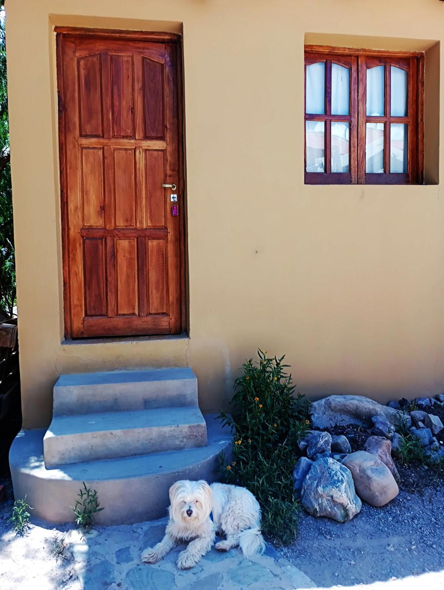 Hostal La Albahaca تيلكارا المظهر الخارجي الصورة