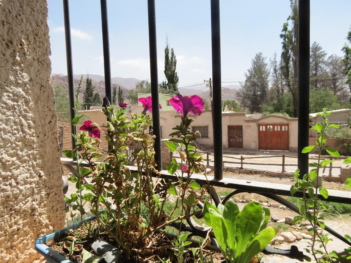 Hostal La Albahaca تيلكارا المظهر الخارجي الصورة