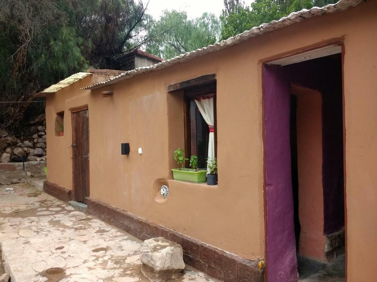 Hostal La Albahaca تيلكارا المظهر الخارجي الصورة
